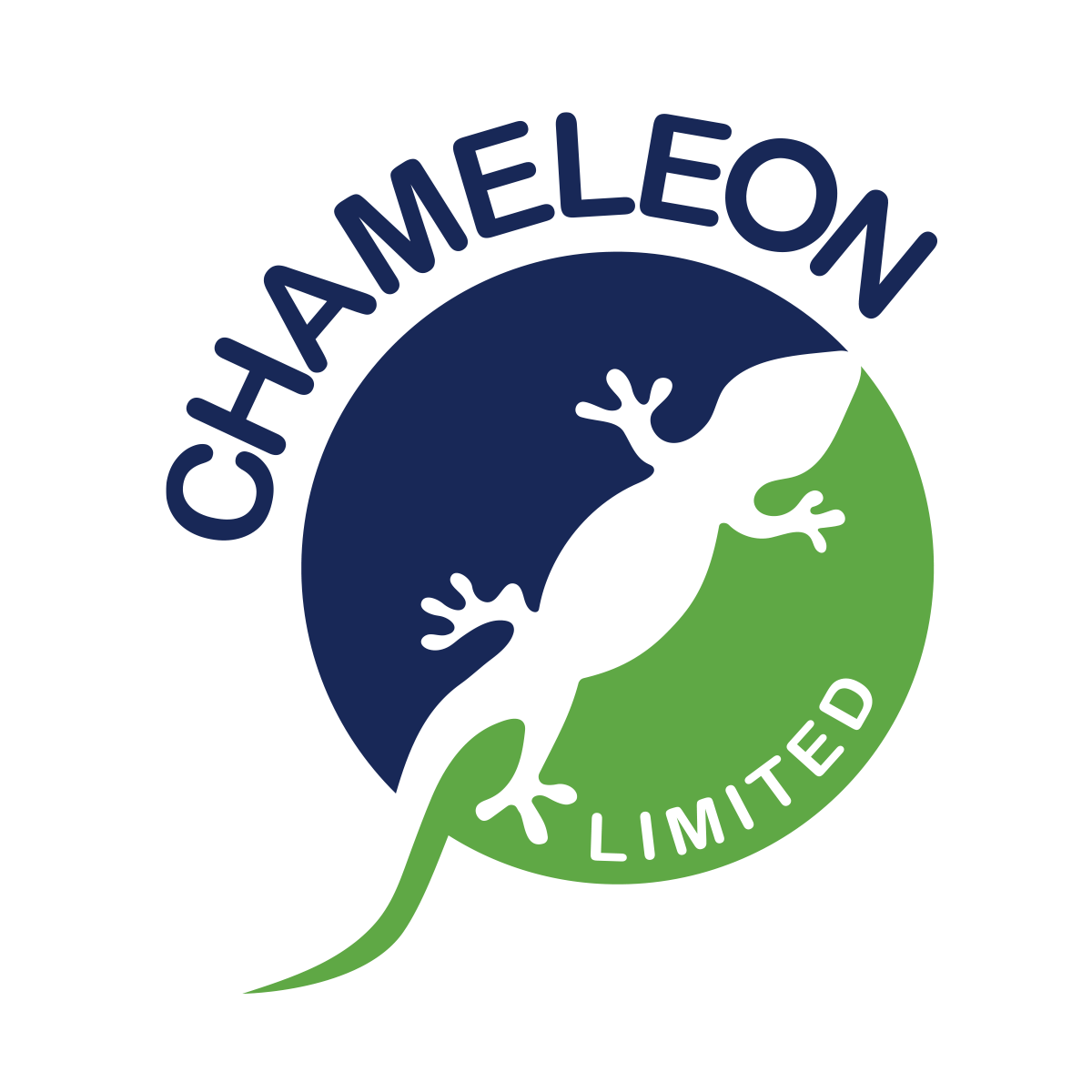 Chameleon Limited